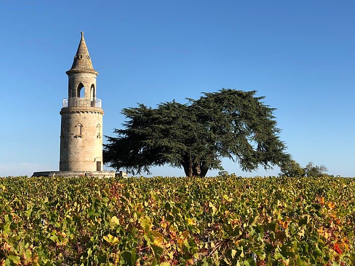 Les châteaux de l’appellation Haut-Médoc : histoire, terroir et vins