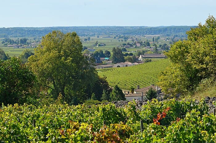 Les vignobles de Bordeaux, un voyage inoubliable au cœur du vin