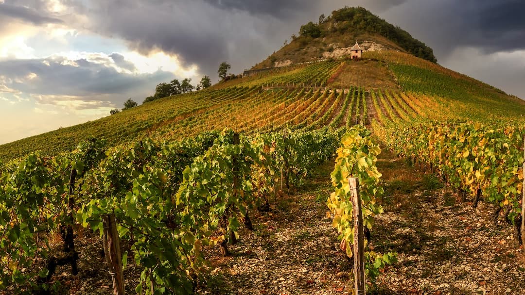 Les appellations principales des vignobles de Bordeaux