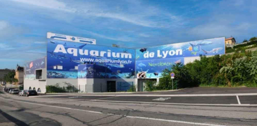 Le grand Aquarium de Lyon: un voyage magnifique dans le monde marin