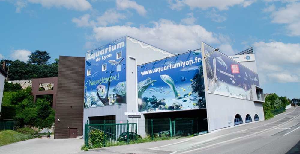 Infos pratiques pour une visite réussie de l_Aquarium du grand Lyon