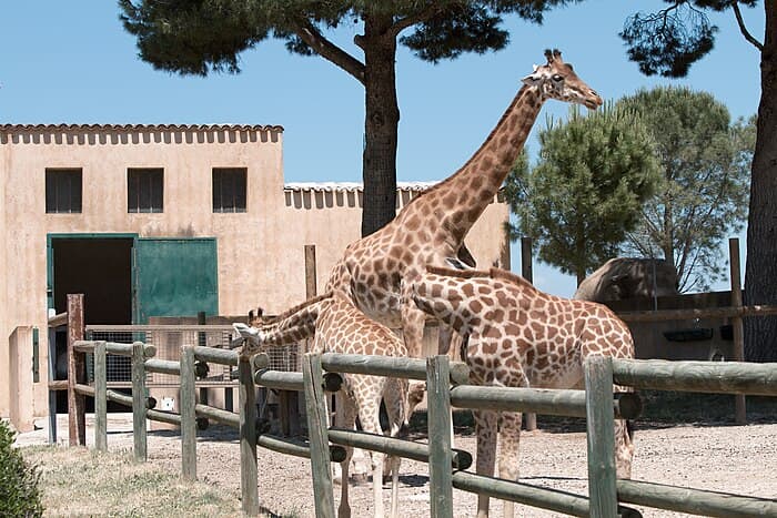 Le Parc Animalier de La Barben