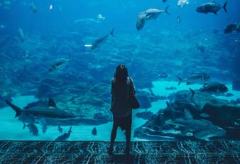 L_aquarium de Lyon
