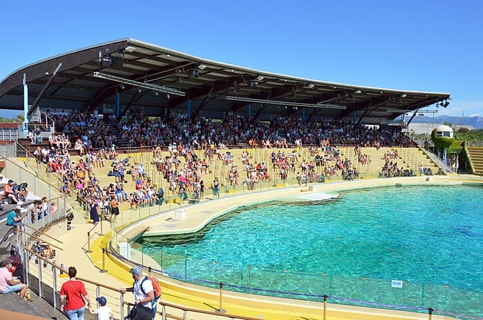 L_expérience immersion au Marineland Côte d_Azur - un voyage exceptionnel dans le monde marin